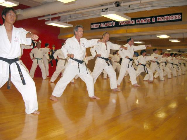 Gerry Blanck's Adult Karate Class in Pacific Palisades